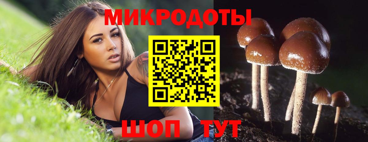 Псилоцибиновые грибы ЛСД Темрюк